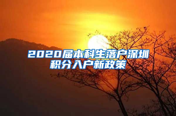 2020届本科生落户深圳积分入户新政策