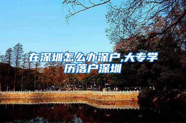 在深圳怎么办深户,大专学历落户深圳