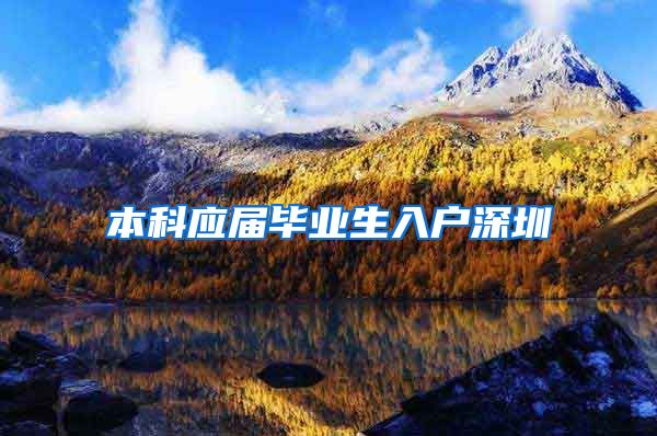 本科应届毕业生入户深圳