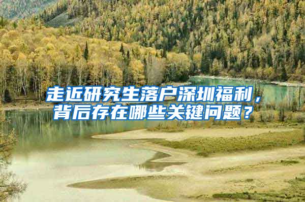 走近研究生落户深圳福利，背后存在哪些关键问题？