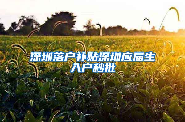 深圳落户补贴深圳应届生入户秒批