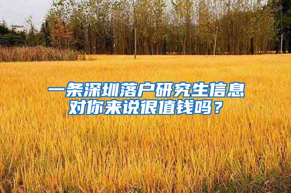 一条深圳落户研究生信息对你来说很值钱吗？