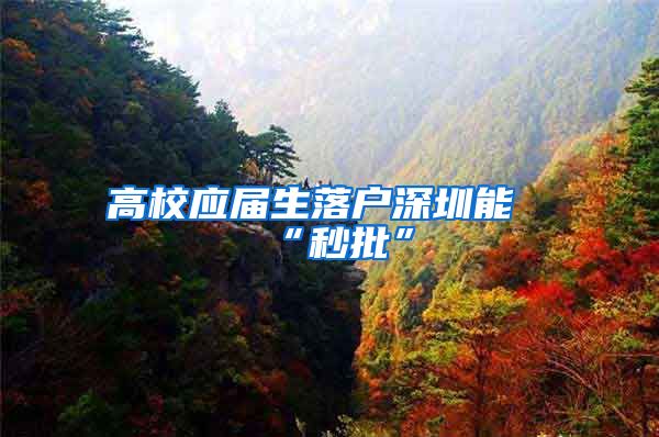 高校应届生落户深圳能“秒批”
