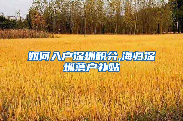 如何入户深圳积分,海归深圳落户补贴