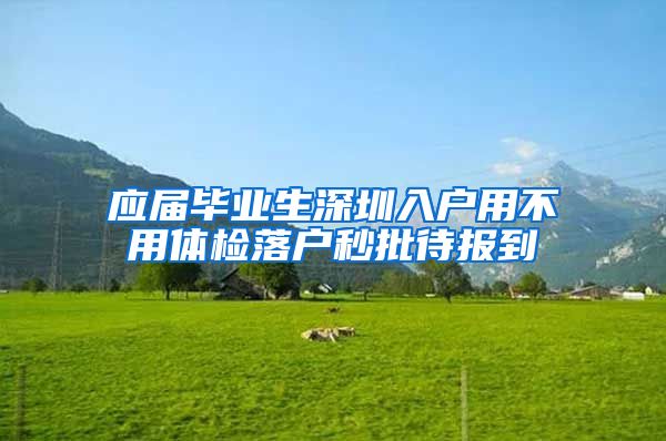 应届毕业生深圳入户用不用体检落户秒批待报到