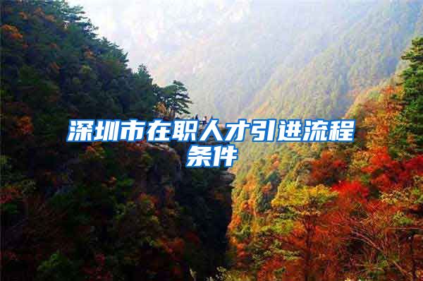 深圳市在职人才引进流程条件