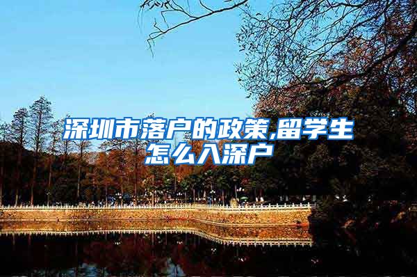 深圳市落户的政策,留学生怎么入深户