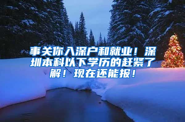 事关你入深户和就业！深圳本科以下学历的赶紧了解！现在还能报！
