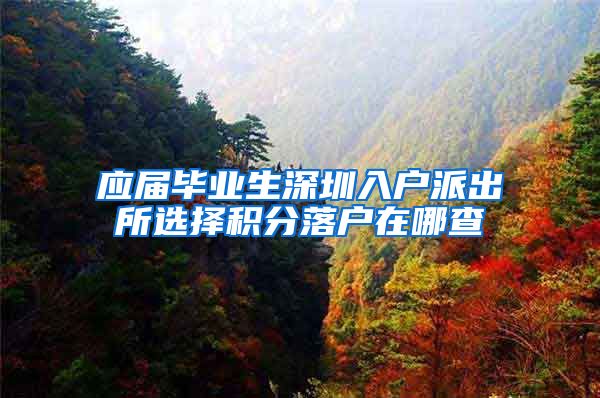 应届毕业生深圳入户派出所选择积分落户在哪查