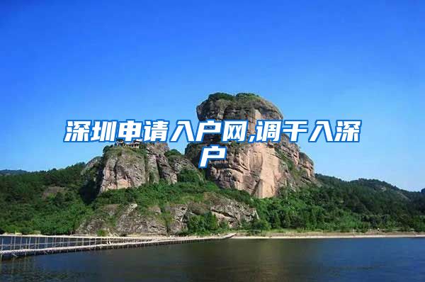 深圳申请入户网,调干入深户