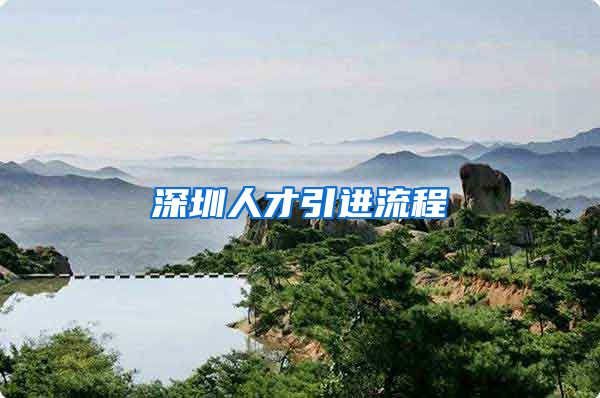 深圳人才引进流程