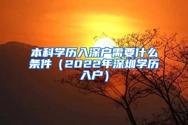 本科学历入深户需要什么条件（2022年深圳学历入户）