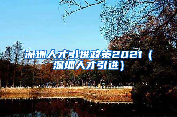 深圳人才引进政策2021（深圳人才引进）