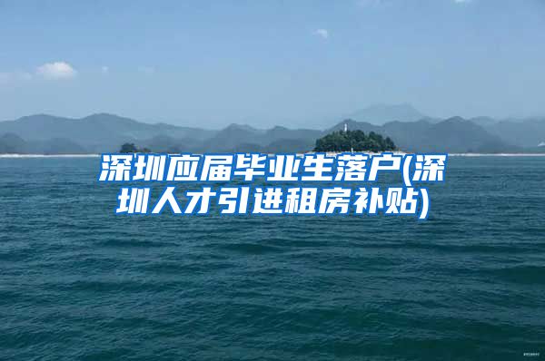 深圳应届毕业生落户(深圳人才引进租房补贴)