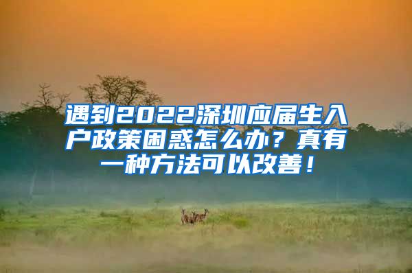 遇到2022深圳应届生入户政策困惑怎么办？真有一种方法可以改善！