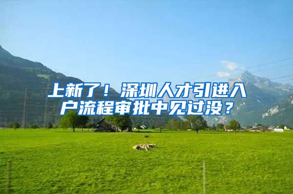 上新了！深圳人才引进入户流程审批中见过没？