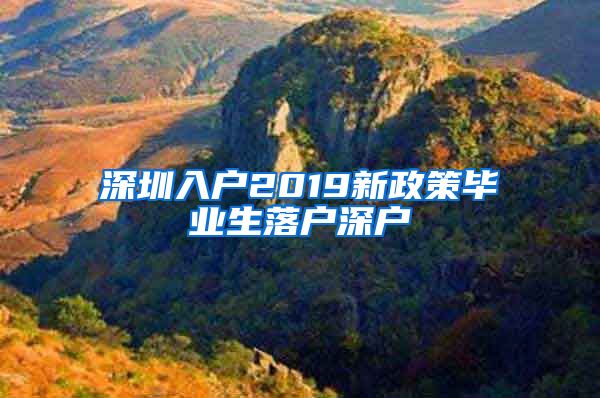 深圳入户2019新政策毕业生落户深户