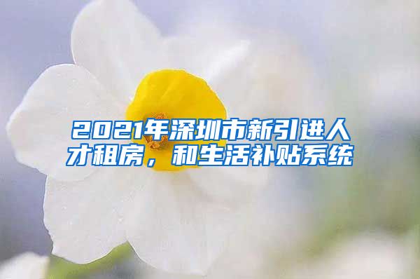 2021年深圳市新引进人才租房，和生活补贴系统