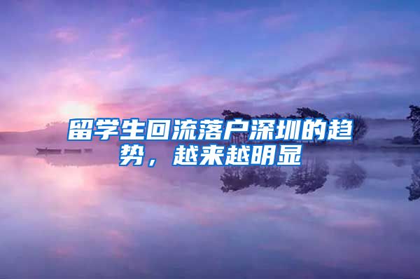 留学生回流落户深圳的趋势，越来越明显