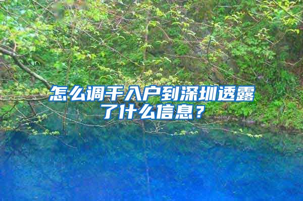 怎么调干入户到深圳透露了什么信息？