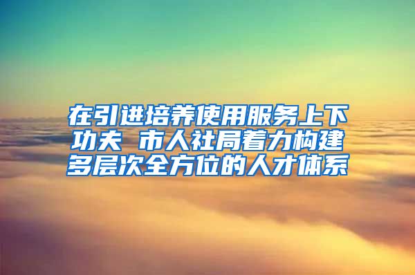 在引进培养使用服务上下功夫 市人社局着力构建多层次全方位的人才体系