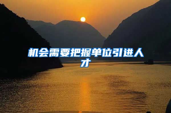 机会需要把握单位引进人才