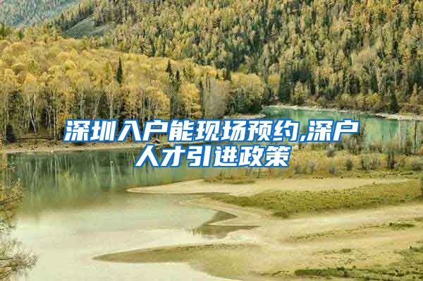 深圳入户能现场预约,深户人才引进政策
