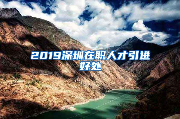 2019深圳在职人才引进好处