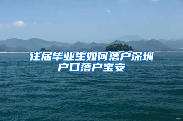 往届毕业生如何落户深圳户口落户宝安