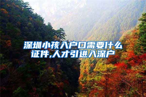 深圳小孩入户口需要什么证件,人才引进入深户