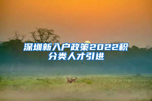 深圳新入户政策2022积分类人才引进