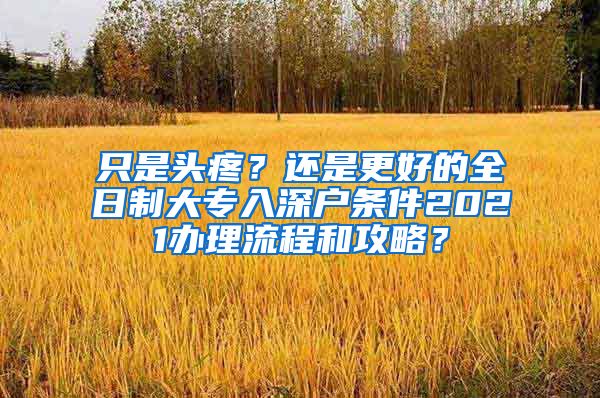 只是头疼？还是更好的全日制大专入深户条件2021办理流程和攻略？