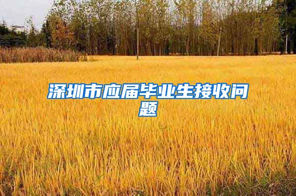 深圳市应届毕业生接收问题