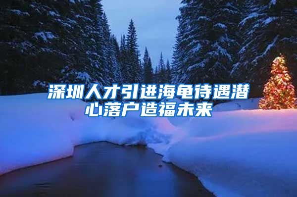 深圳人才引进海龟待遇潜心落户造福未来