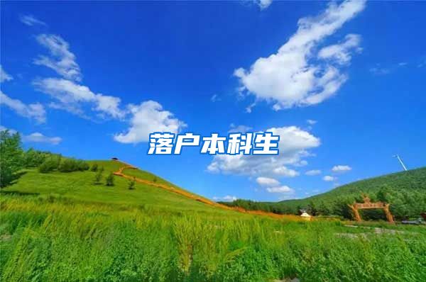 落户本科生