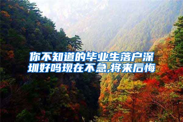 你不知道的毕业生落户深圳好吗现在不急,将来后悔