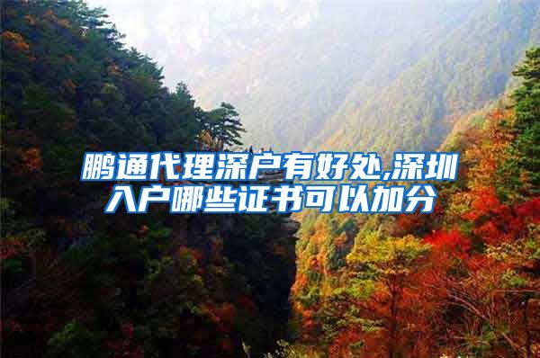 鹏通代理深户有好处,深圳入户哪些证书可以加分