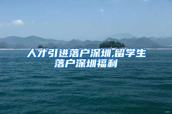 人才引进落户深圳,留学生落户深圳福利