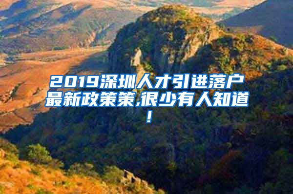 2019深圳人才引进落户最新政策策,很少有人知道！