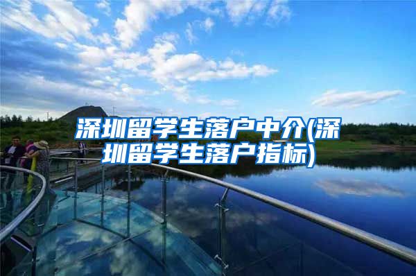 深圳留学生落户中介(深圳留学生落户指标)