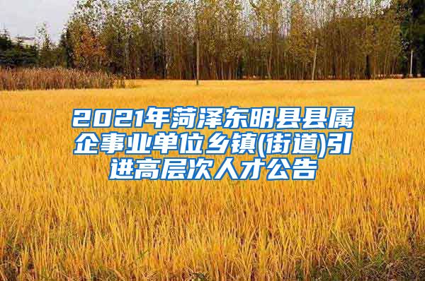 2021年菏泽东明县县属企事业单位乡镇(街道)引进高层次人才公告