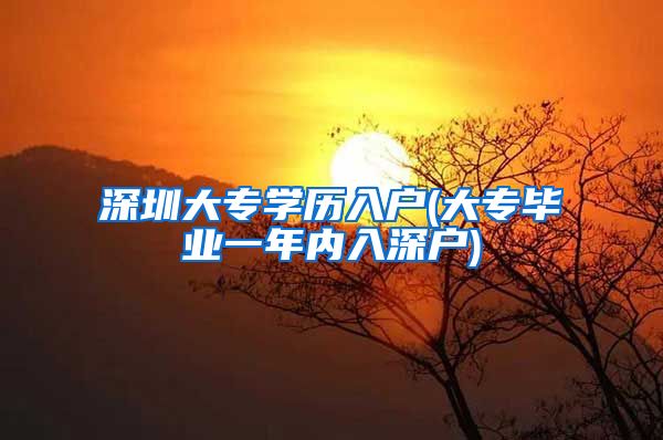 深圳大专学历入户(大专毕业一年内入深户)