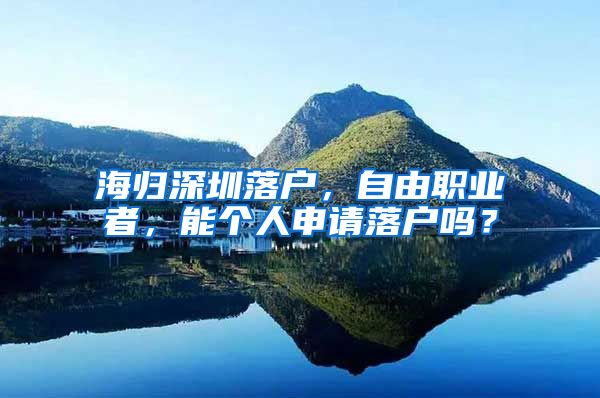 海归深圳落户，自由职业者，能个人申请落户吗？