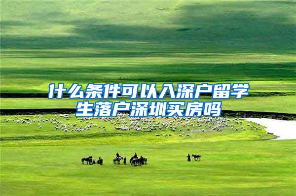 什么条件可以入深户留学生落户深圳买房吗