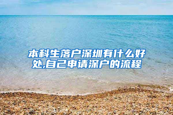 本科生落户深圳有什么好处,自己申请深户的流程