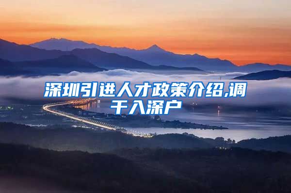 深圳引进人才政策介绍,调干入深户