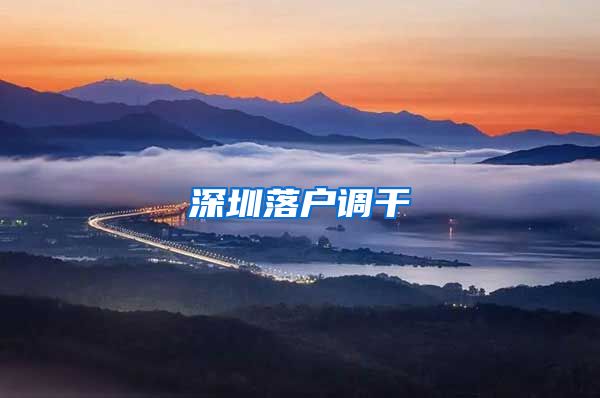 深圳落户调干
