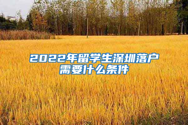 2022年留学生深圳落户需要什么条件