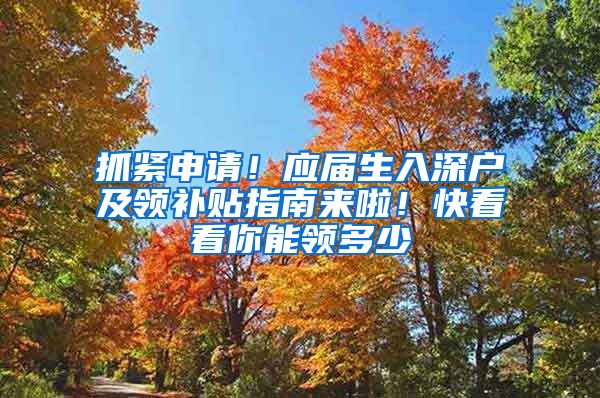 抓紧申请！应届生入深户及领补贴指南来啦！快看看你能领多少