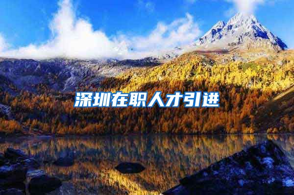 深圳在职人才引进